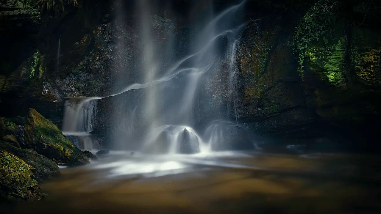 أسعار البانيه في مصر تتصاعد اليوم السبت 13-12-2025 وسط توقعات بتأثر المستهلكين وارتفاع الطلب